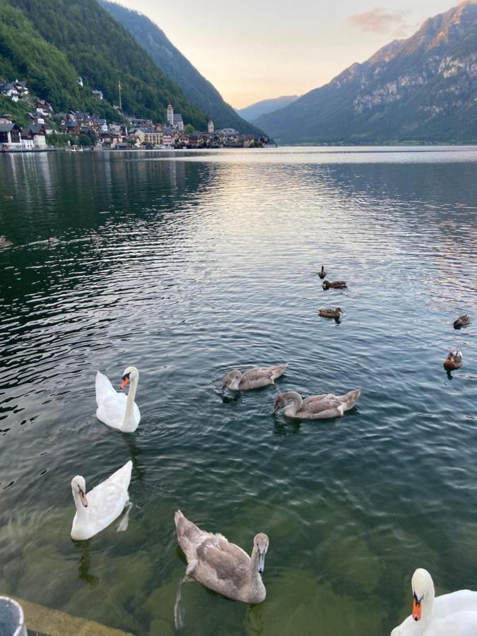 Hallstatt Lakeside Top 4 - Zimmer Mit Balkon Bagian luar foto